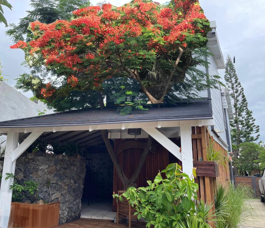 Le Ti Kabanon Du Lagon La Saline Les Bains Exterior foto